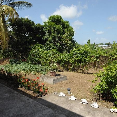 Villa Yona Sainte-Anne (Grande-Terre) Exterior foto