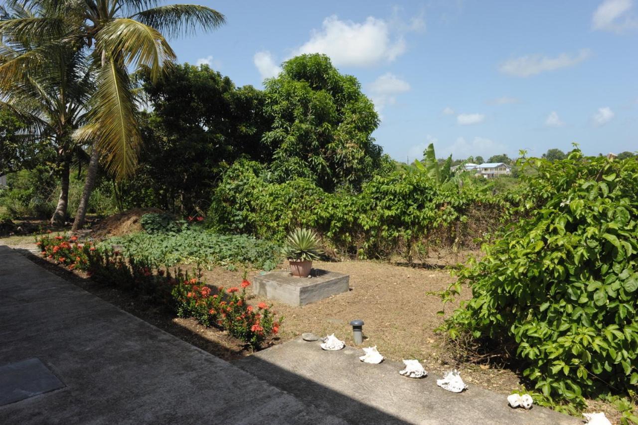 Villa Yona Sainte-Anne (Grande-Terre) Exterior foto